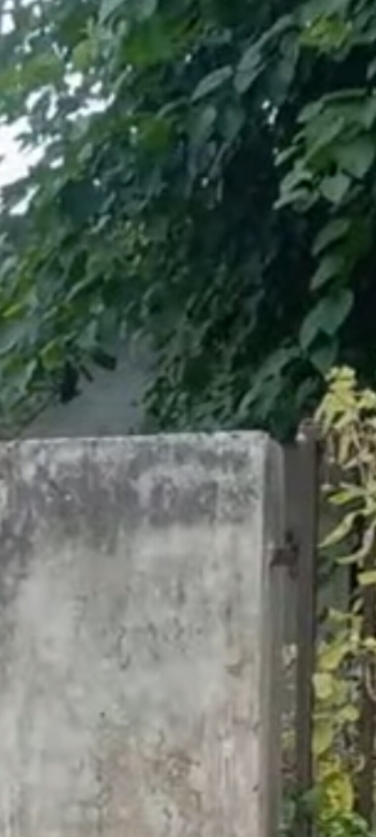 Exterior View, rwa-apartments  300 Sq.Mt. Plot In Sector 31 Noida 8840907