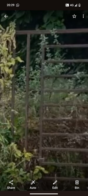 Plot Area in  Plot at RWA Apartments, Sector 31 – for Sale