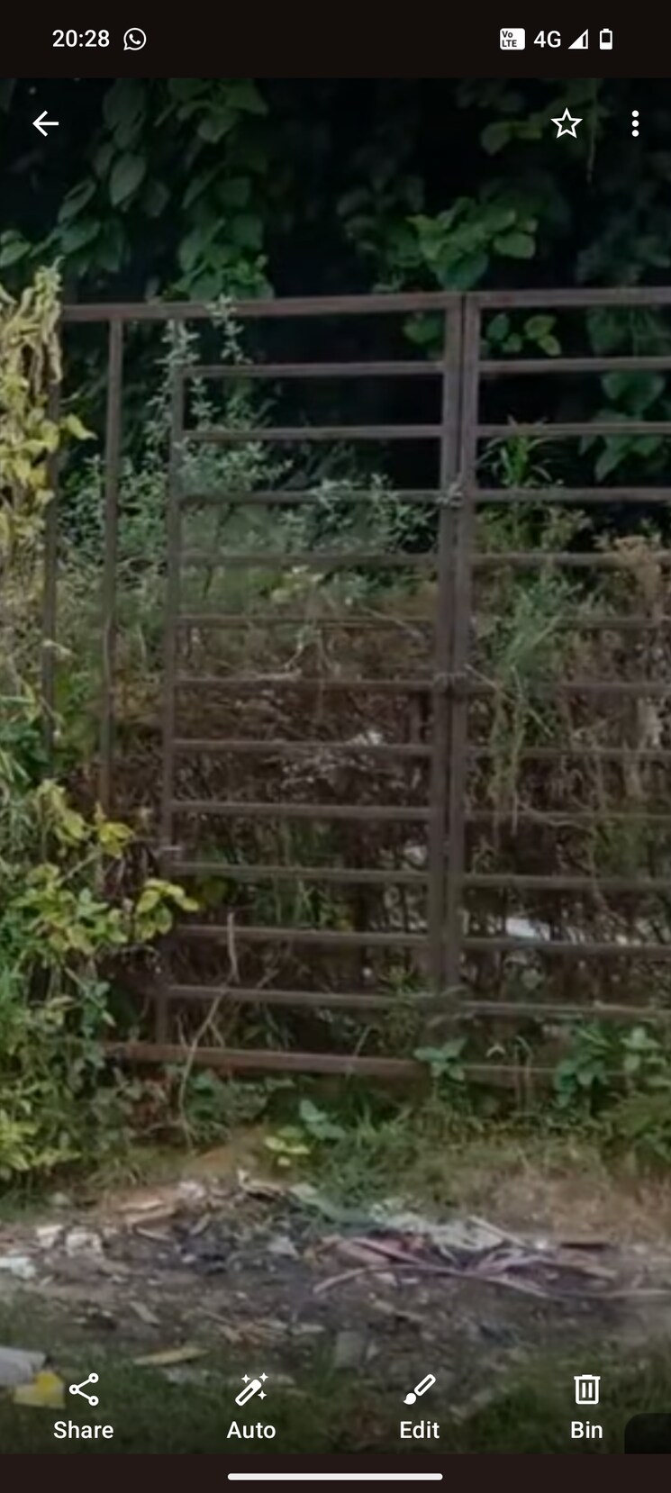 Garden, rwa-apartments  300 Sq.Mt. Plot In Sector 31 Noida 8840907