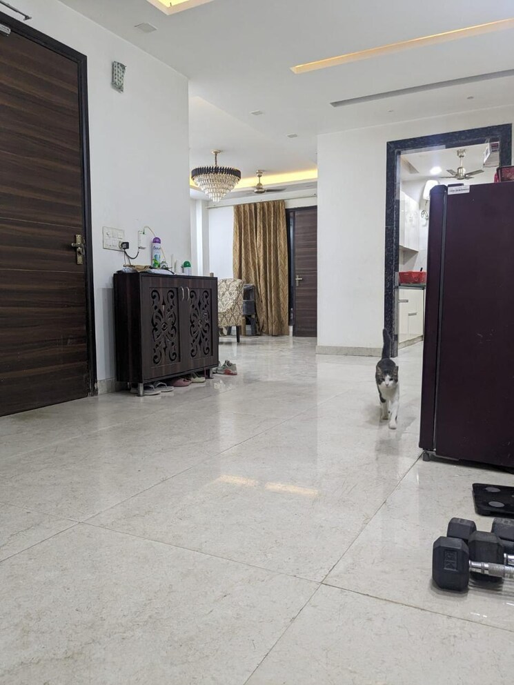 Room, grand-mall 3 Bedroom 263 Sq.Ft. Builder Floor In Sector 28 Gurgaon 8841072