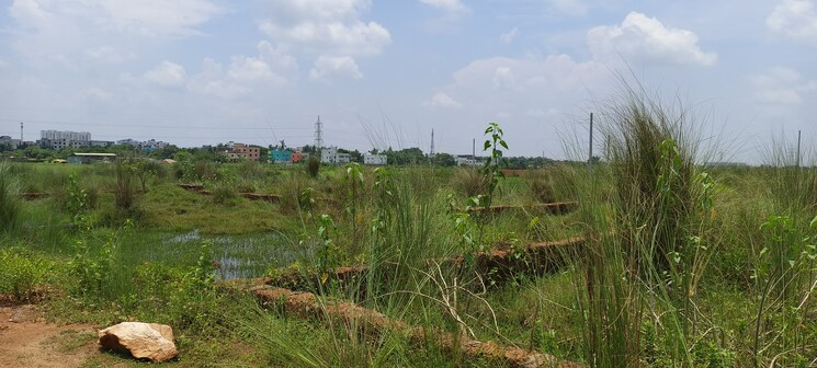 undefined, patrapada  1508 Sq.Ft. Plot In Patrapada Bhubaneswar 8841153