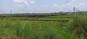 Plot Area in  Plot at Patrapada – for Sale