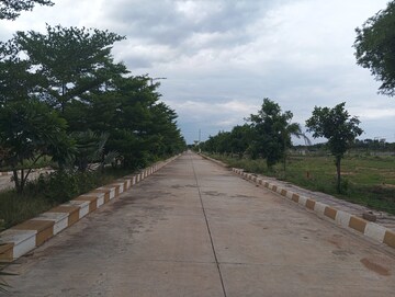Plot Area in  Plot at Thimmapur – for Sale