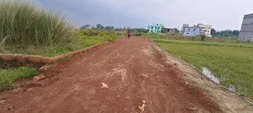Plot Area in  Plot at Patrapada – for Sale