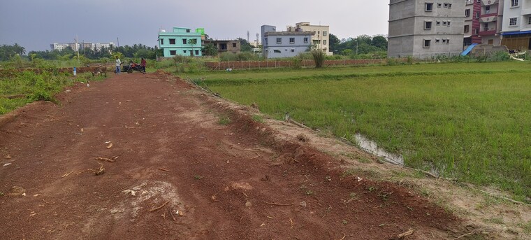 undefined, patrapada  1511 Sq.Ft. Plot In Patrapada Bhubaneswar 8841308