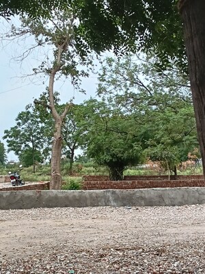 Plot Area in  Plot at Sector 123 – for Sale