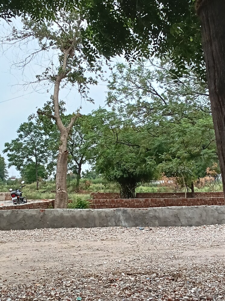 undefined, sector 123  70 Sq.Yd. Plot In Sector 123 Noida 8841349