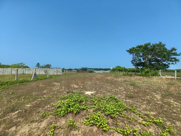 Plot Area in  Plot at Muthukadu – for Sale