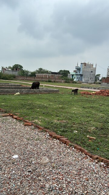  Plot For Sale in Sector 123