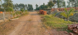 Plot Area in  Plot at Neocasa Om Enclave, Sector 148 – for Sale