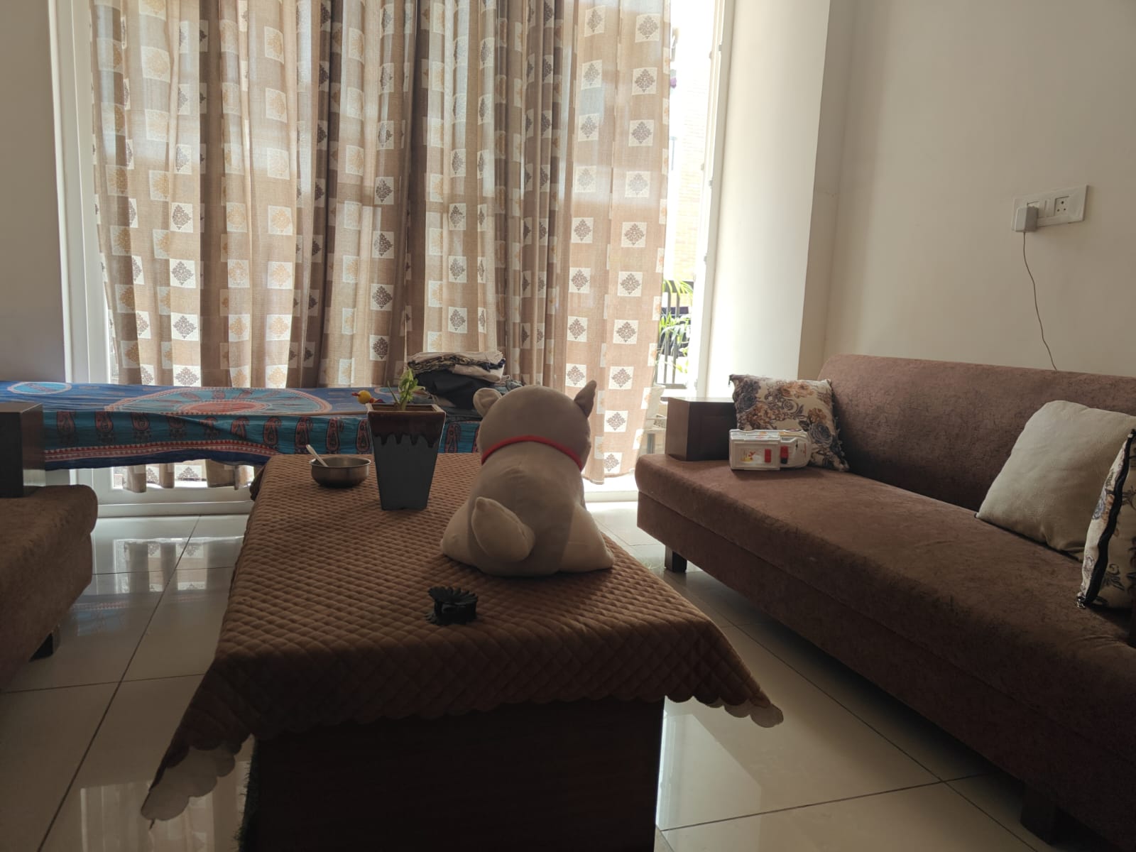 3 BHK + Pooja Room,Study Room 2622 Sq.Ft. Apartment in Orbit Apartments