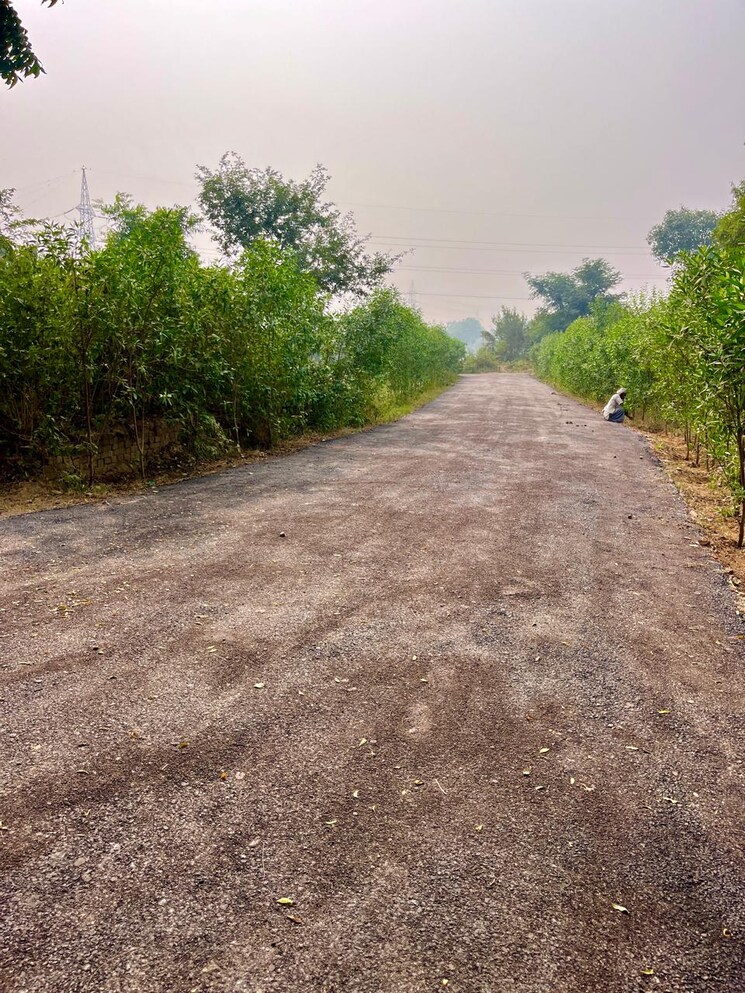 Garden, bhoomi-krishna-kunj  60 Sq.Yd. Plot In Dhoom Manikpur Greater Noida 8841950