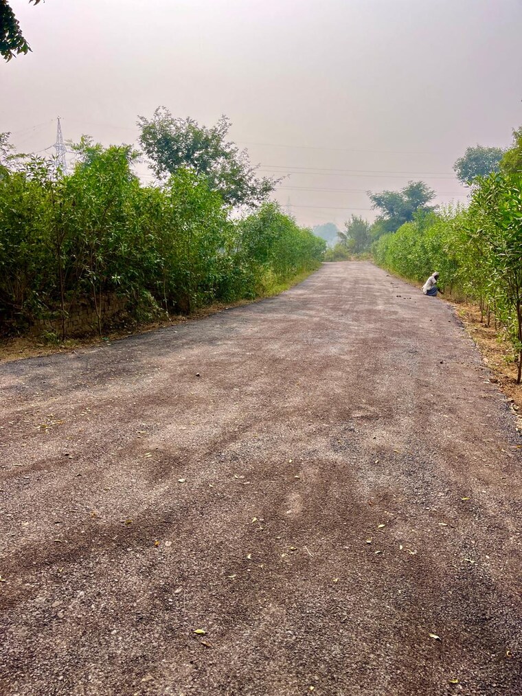 Garden, bhoomi-krishna-kunj  60 Sq.Yd. Plot In Dhoom Manikpur Greater Noida 8841950