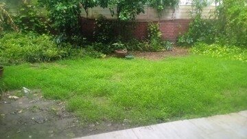 6+ BHK Independent House – Garden View at New Friends Colony - for Rent