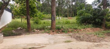 Plot For Sale in Doddagubbi