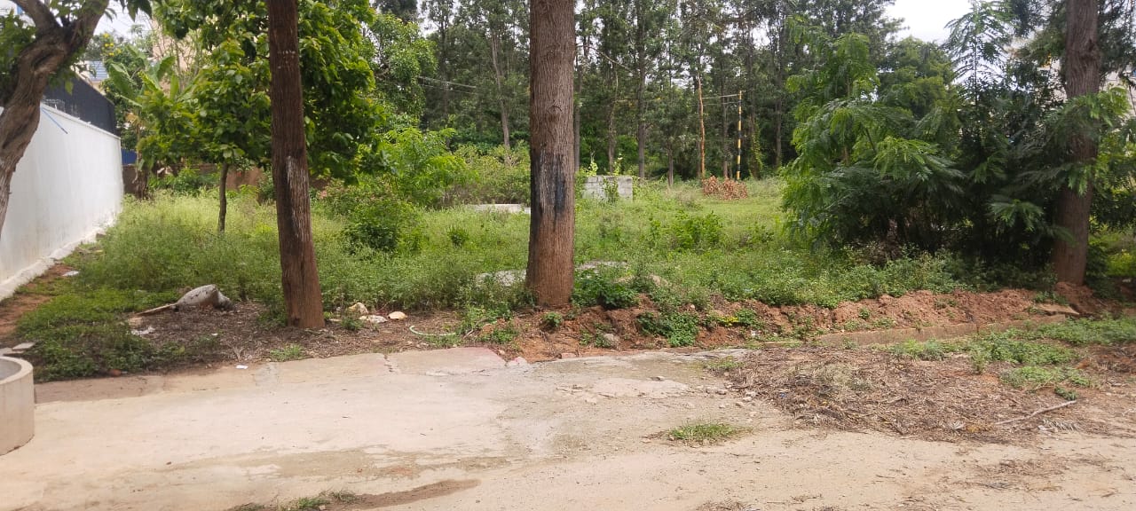 Plot For Sale in Nishchay