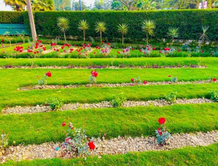 Garden, wing-lucknow-greens-plots  1744 Sq.Ft. Plot In Sultanpur Road Lucknow 8842072