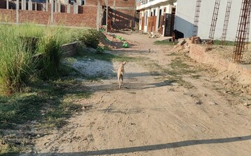 Plot For Sale in Indira Nagar