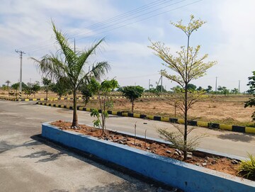 Plot Area in  Plot at SRR Shadnagar Paradise County, Shadnagar – for Sale