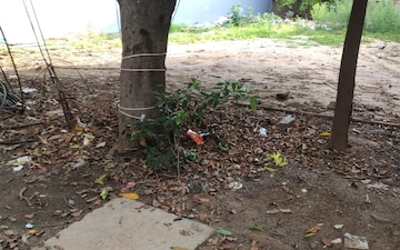 Plot For Sale in Sushant Lok Iii