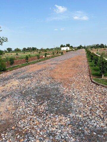  Plot For Sale in Jewar