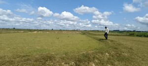 Plot Area in  Plot at Patrapada – for Sale