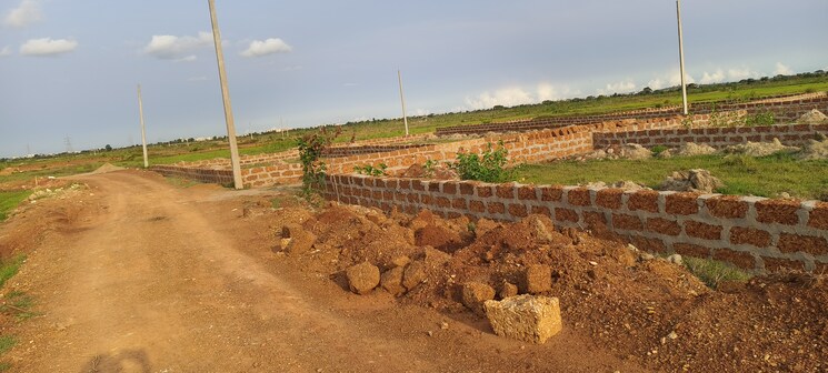 undefined, patrapada  1515 Sq.Ft. Plot In Patrapada Bhubaneswar 8842296