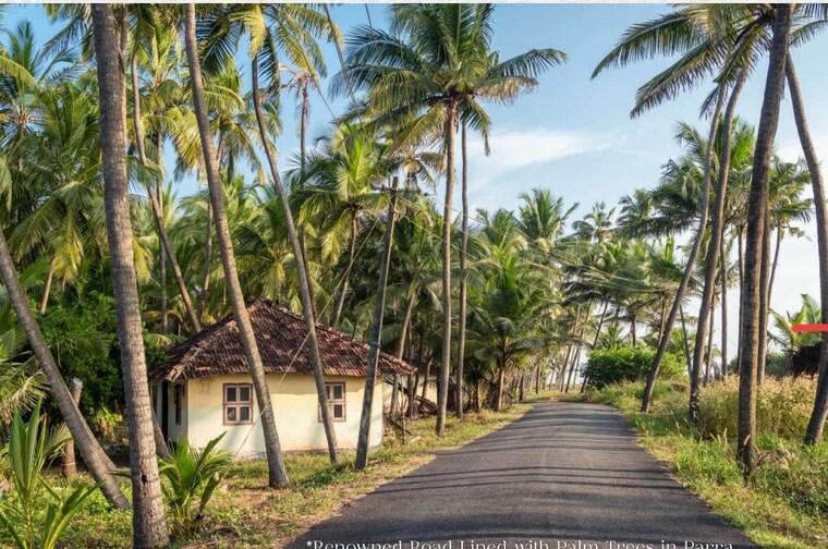 Garden, parra 4 Bedroom 4200 Sq.Ft. Villa In Parra Goa 8842998