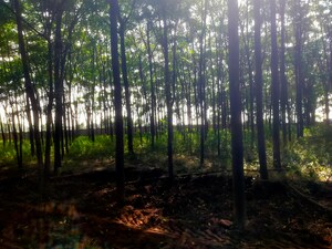  Plot For Sale in Manneguda