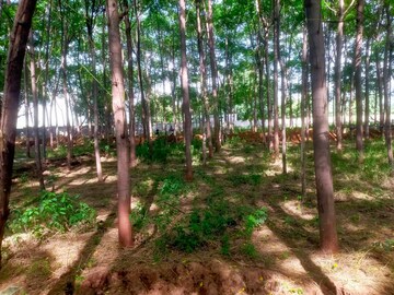  Plot – Garden View at Manneguda - for Sale