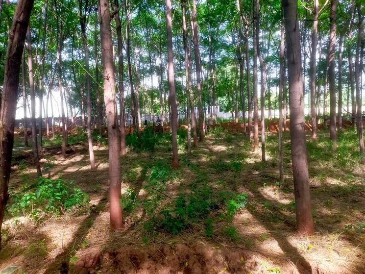 Garden, manneguda  150 Sq.Yd. Plot In Manneguda Hyderabad 8843067