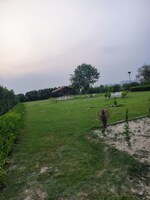 4 BHK 1008 Sq.Yd. Villa in Ekakshar Green Farm 