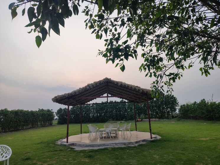 Swimming Pool, chi 1 greater noida 4 Bedroom 1008 Sq.Yd. Villa In Chi 1 Greater Noida Greater Noida 8843252