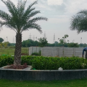 Plot Area in  Plot at Excella Resortico, Malesemau – for Sale