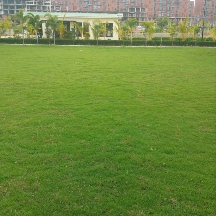 Garden, excella-resortico  1850 Sq.Ft. Plot In Malesemau Lucknow 8843251