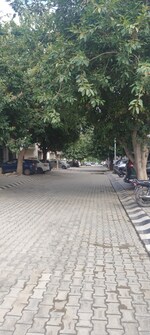 2 BHK + Pooja Room 194 Sq.Yd. Builder Floor in Wave Prime Floors