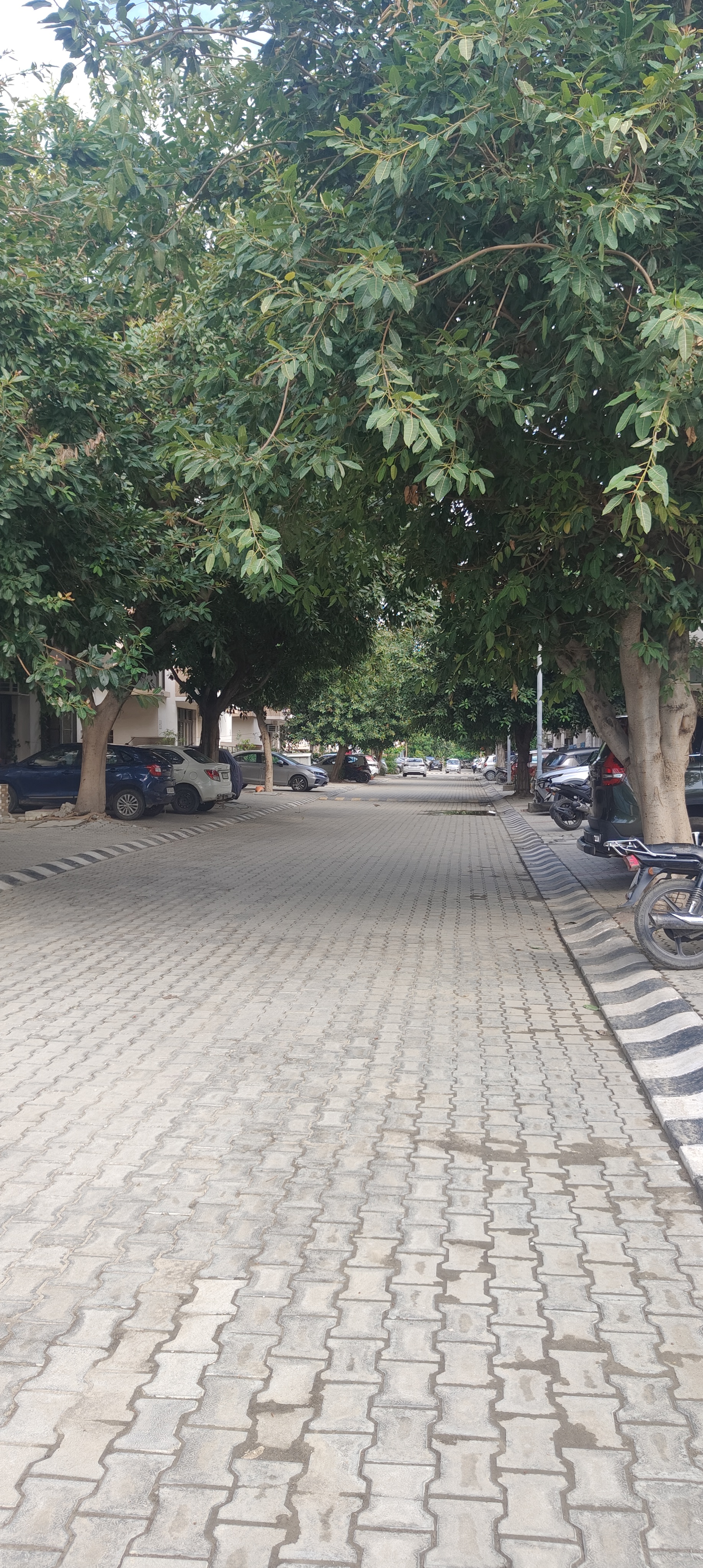 2 BHK + Pooja Room Builder Floor For Sale in Wave Prime Floors