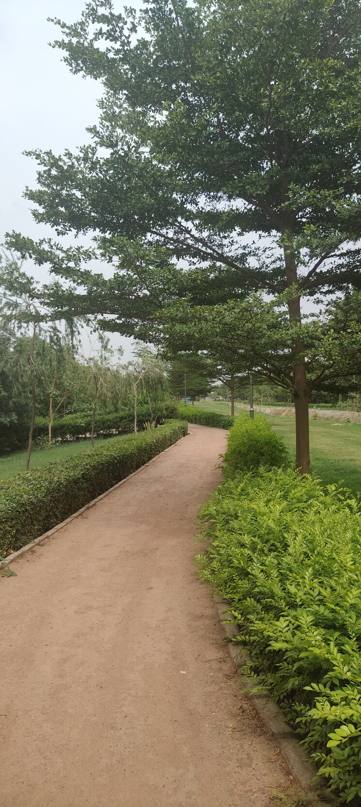 Master Bedroom, uchdpl-veridia-oakwood-enclave 4 Bedroom 2385 Sq.Ft. Apartment In Wave City Ghaziabad 8845201