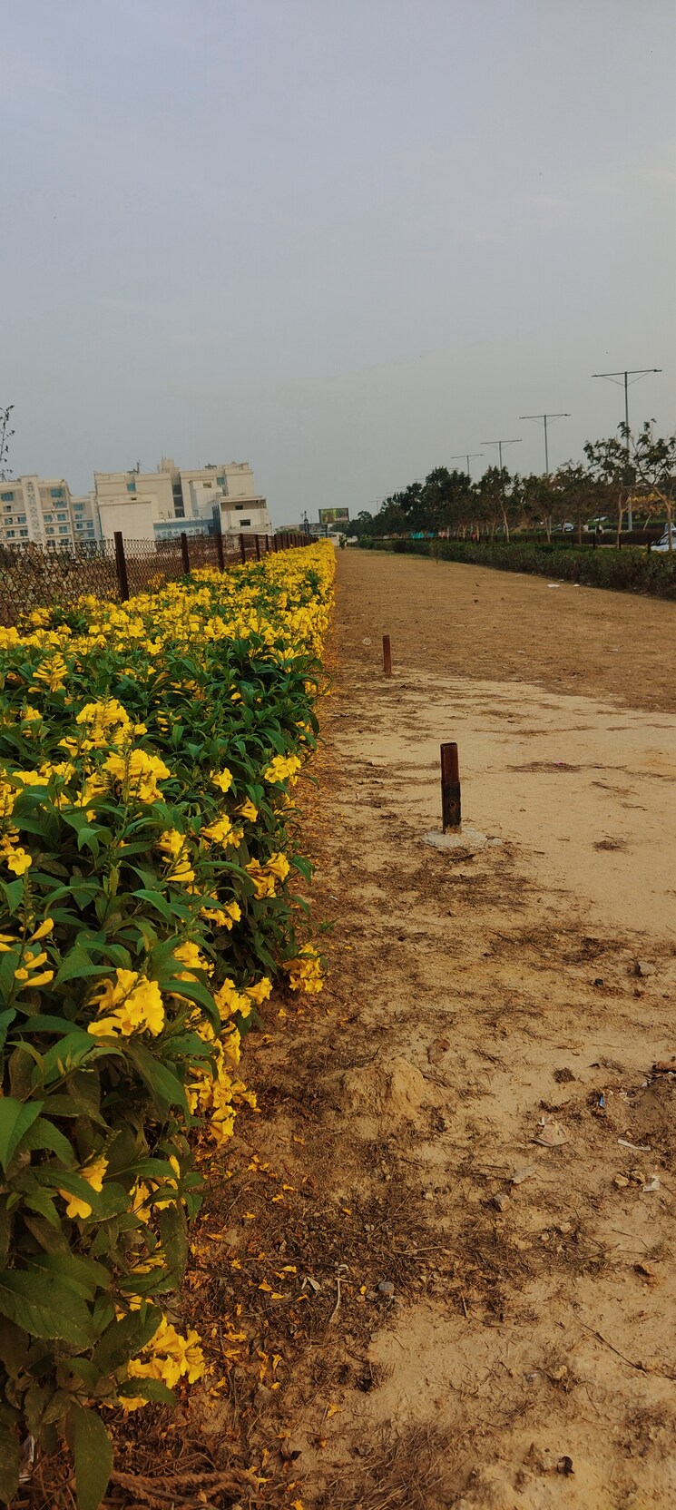 Master Bedroom, uchdpl-veridia-oakwood-enclave 4 Bedroom 2385 Sq.Ft. Apartment In Wave City Ghaziabad 8845201