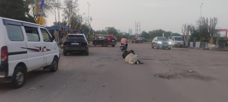 Exterior View, sector 78  160 Sq.Yd. Plot In Sector 78 Faridabad 8845211