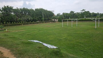 Plot Area in  Plot at Tappal – for Sale