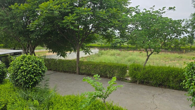 undefined, tappal  300 Sq.Yd. Plot In Tappal Aligarh 8845726