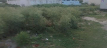  Plot – Exterior View View at Sector 78 - for Sale