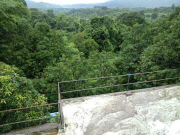 Plot Area in  Plot at Mangaon – for Sale