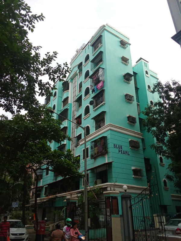 1 BHK Apartment For Rent in Blue Pear