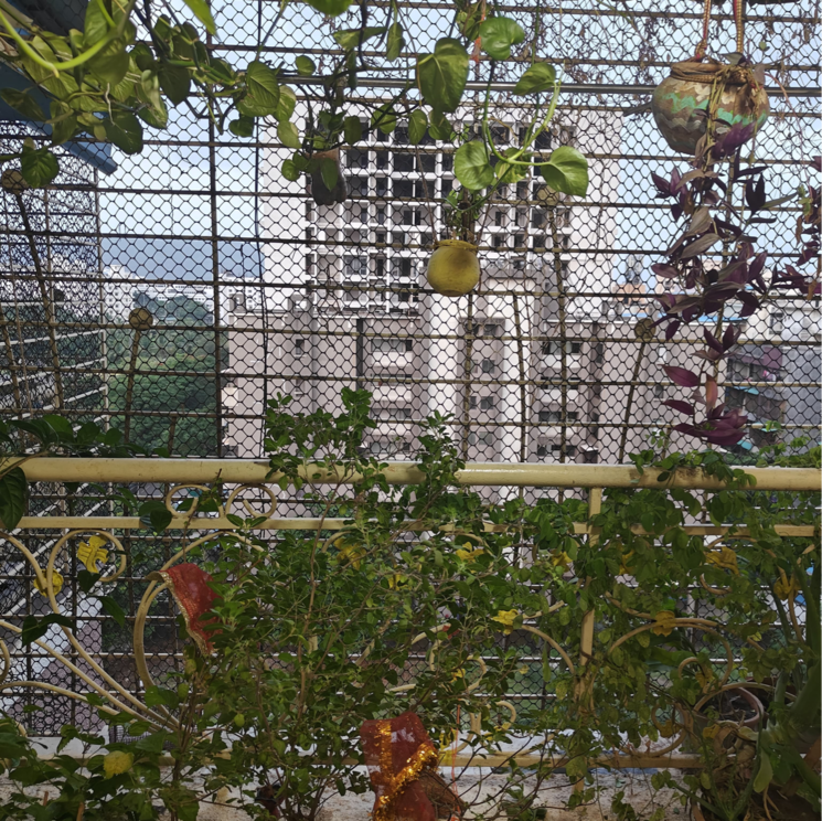 Garden, ganga-towers 1 Bedroom 690 Sq.Ft. Apartment In Kamothe Navi Mumbai 8845857