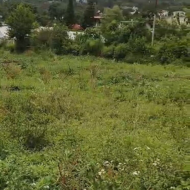 undefined, bhimtal  3200 Sq.Ft. Plot In Bhimtal Nainital 8845912