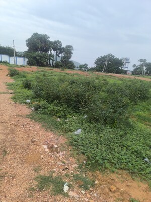 Plot Area in  Plot at Chippada – for Sale