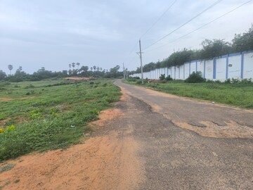  Plot For Sale in Chippada