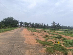 Plot Area in  Plot at Chippada – for Sale